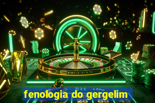 fenologia do gergelim